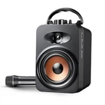 Преносим високоговорител с караоке с микрофон